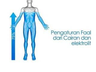 Menjaga Keseimbangan Cairan dan Elektrolit